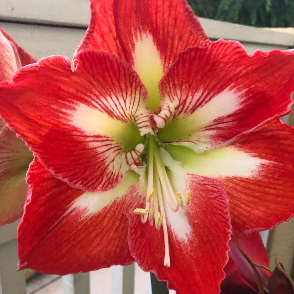 Meet your Posher, Raquel